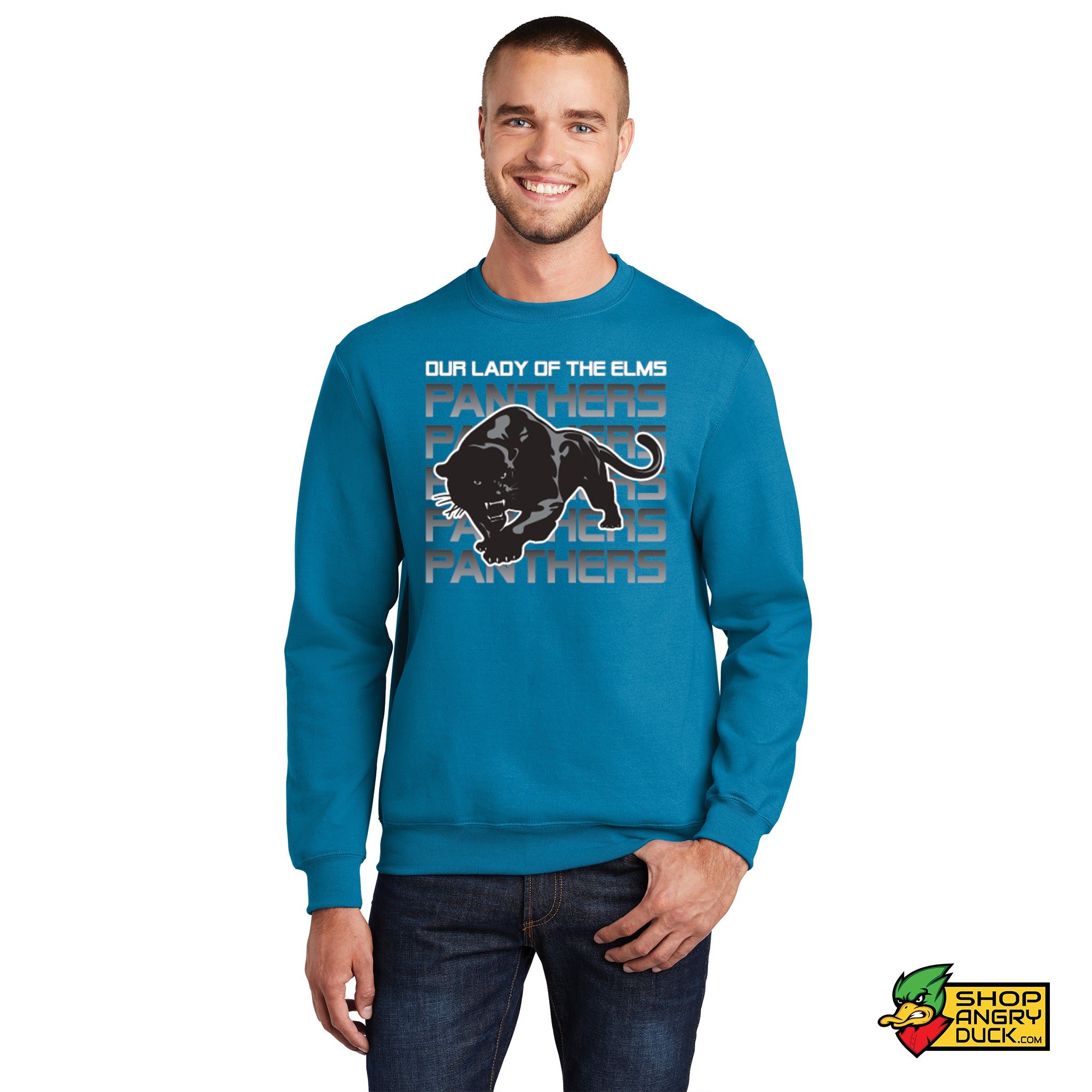 Panthers crewneck sweatshirt online